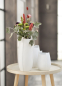 Preview: Goebel Kaiser Porzellan Vase Ova 16 cm Porzellanvase Blumenvase NEUHEIT 2025