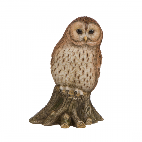 Goebel Waldkautz Vogel des Jahres 2017
